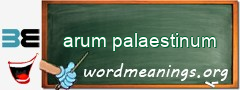 WordMeaning blackboard for arum palaestinum